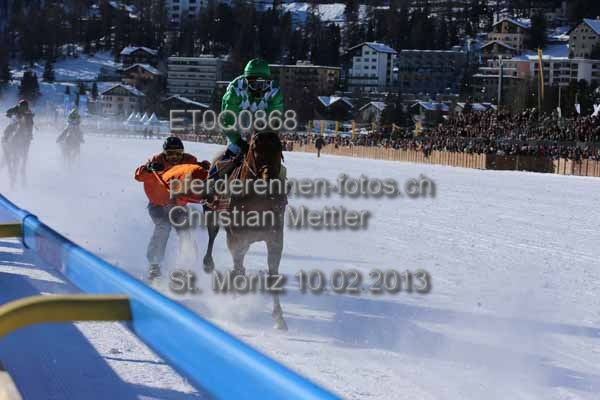 ET0Q0868 prot